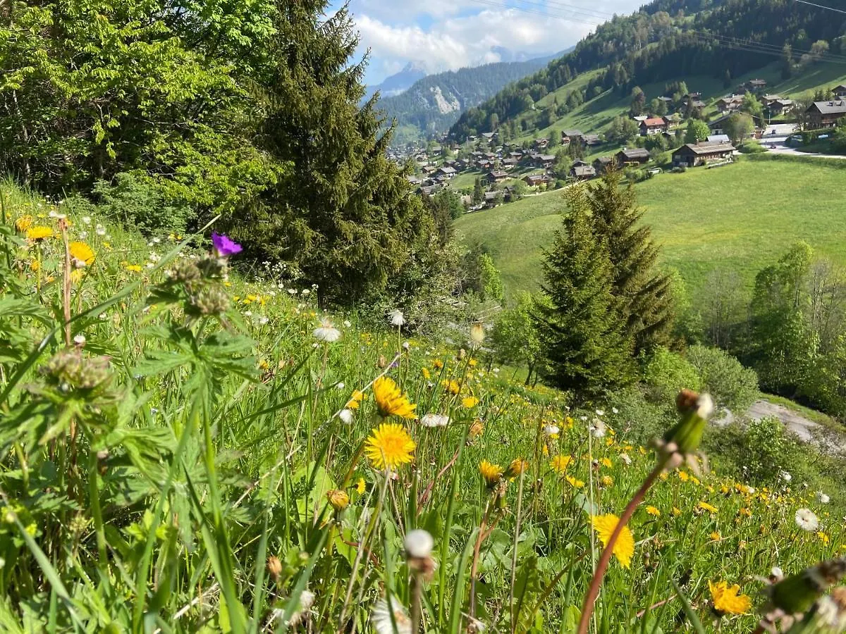 Appartement Cosy Au Pied Des Pistes La Clusaz France
