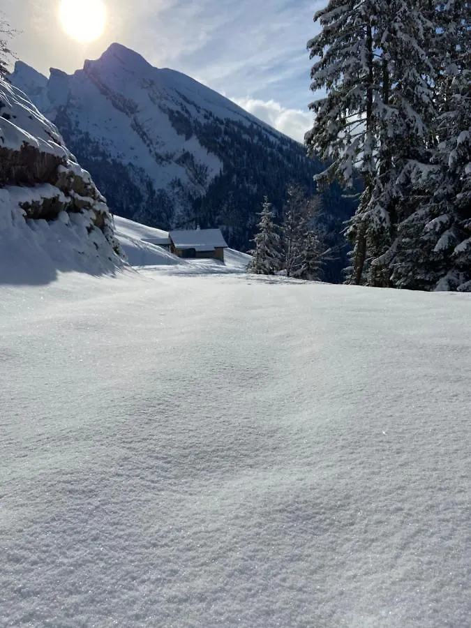 Appartement Cosy Au Pied Des Pistes La Clusaz France